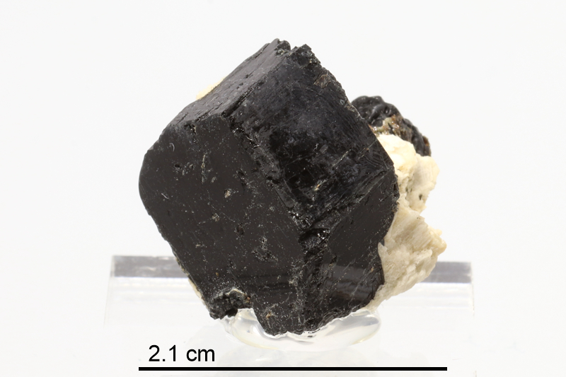 Fluoro-richterite (Ontario)